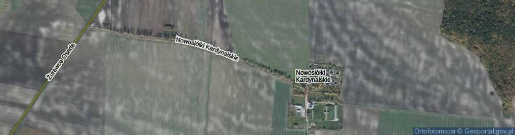 Zdjęcie satelitarne Nowosiółki Kardynalskie ul.